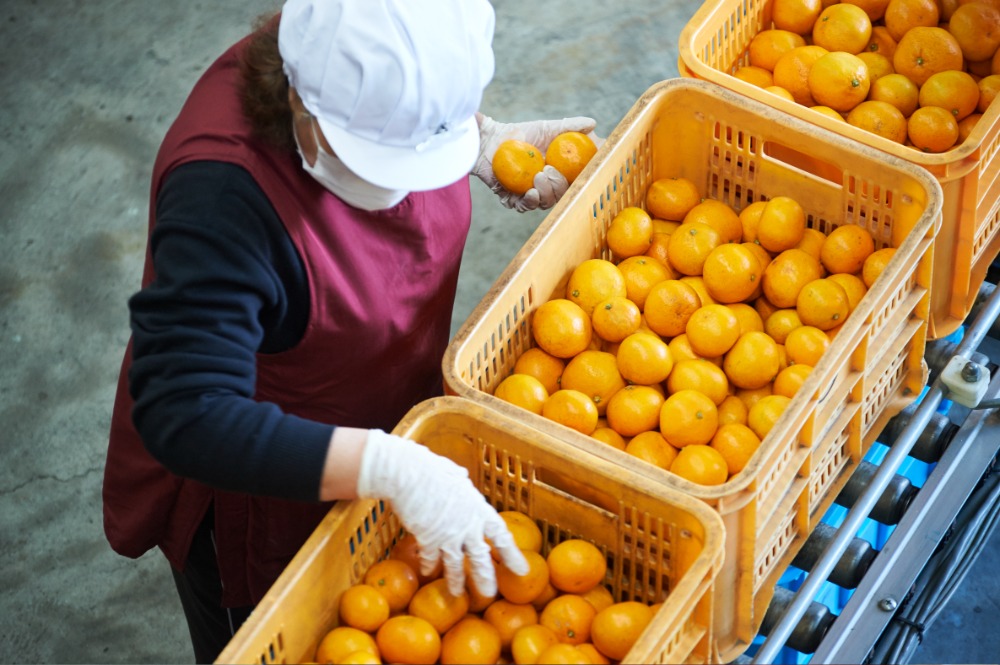 軽作業スタッフ